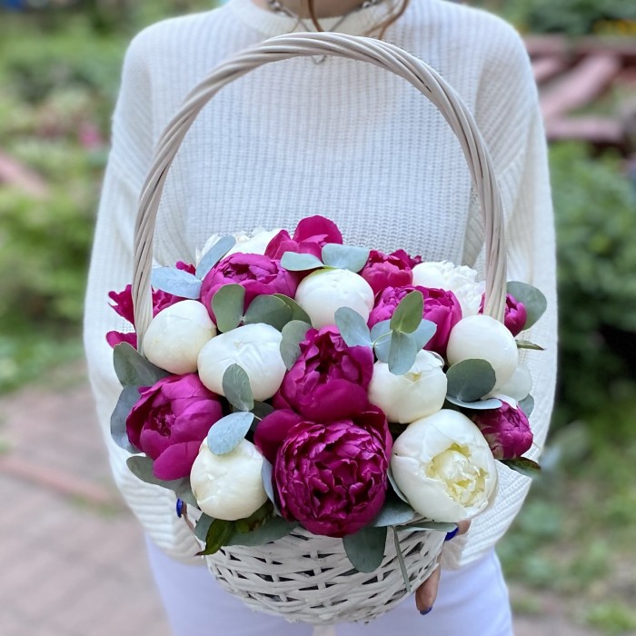 25 малиновых и белых пионов в корзине